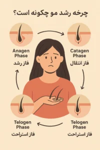 چرخه رشد مو و مراحل مختلف آن